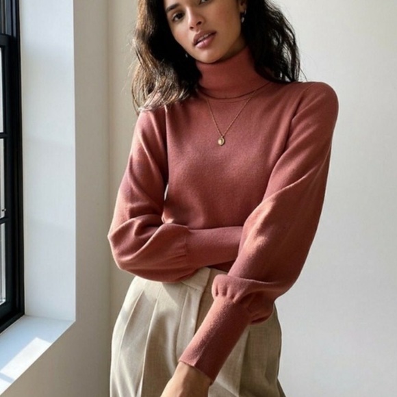 Aritzia Sweaters - Wilfred rebecca sweater